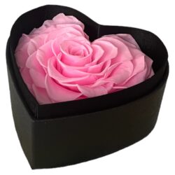 Herz Box | Schwarz | Mini | Rose Hellrosa