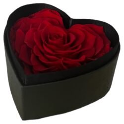 Herz Box | Schwarz | Mini | Rose Rot