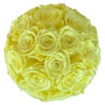 Romantic Box | Schwarz | M | Rosen Goldgelb - Image 2