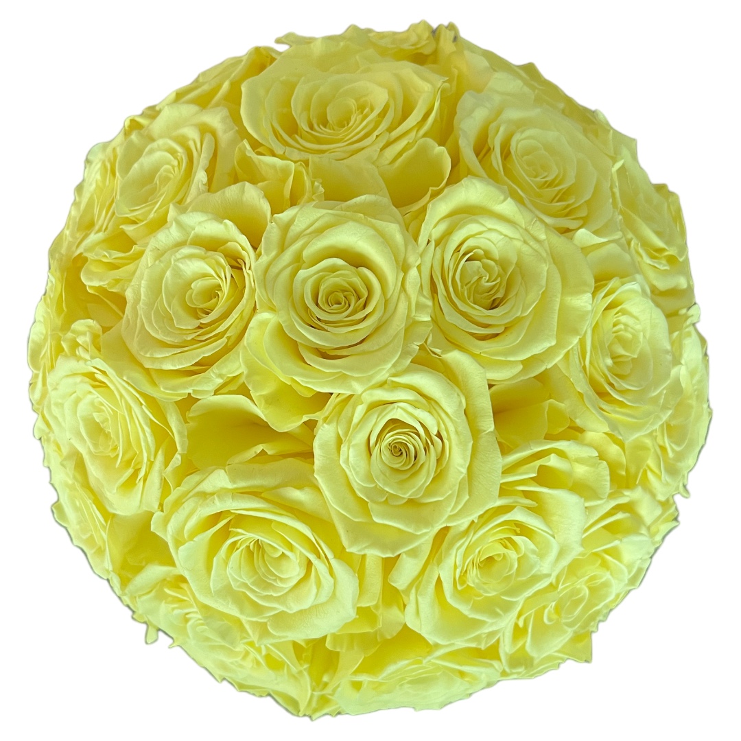 Romantic Box | Schwarz | M | Rosen Goldgelb - Image 2