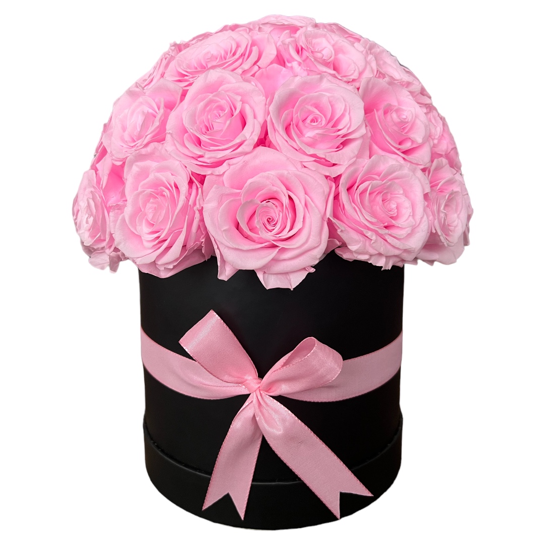 Romantic Box | Schwarz | L | Rosen Hellrosa