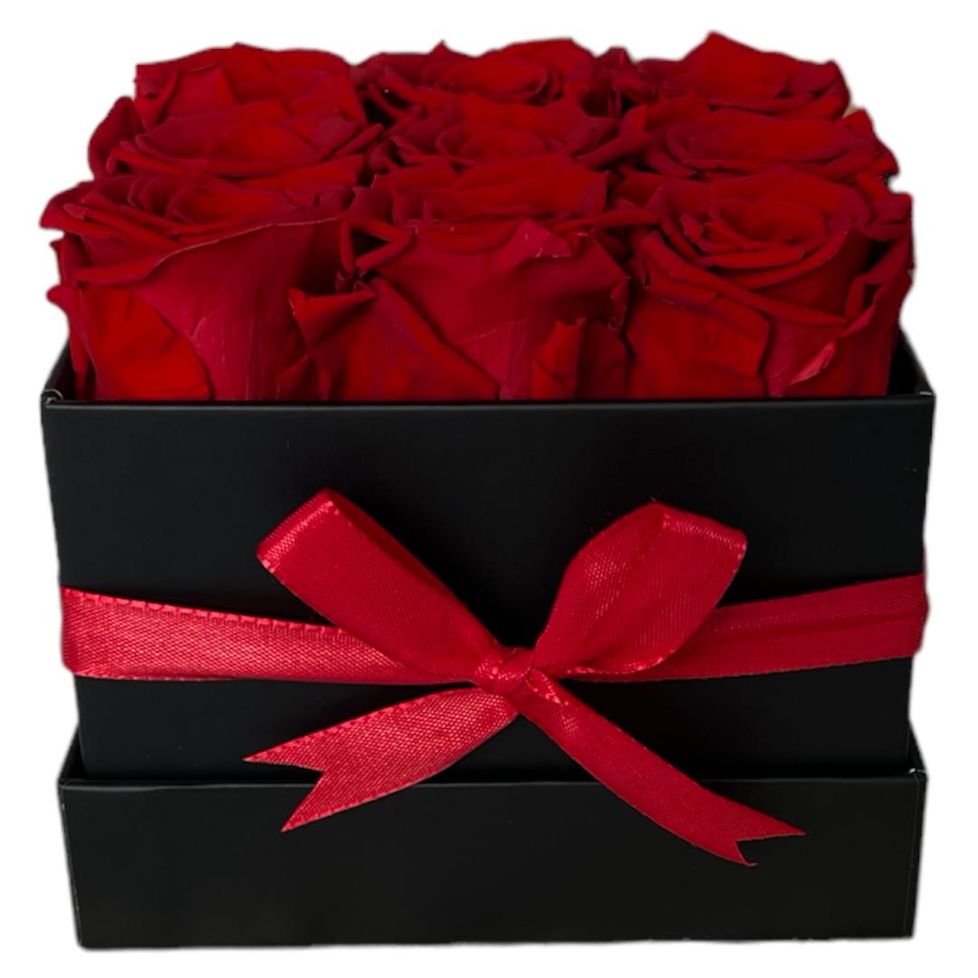Eckig Box| Schwarz | M | Rosen Rot - Image 2