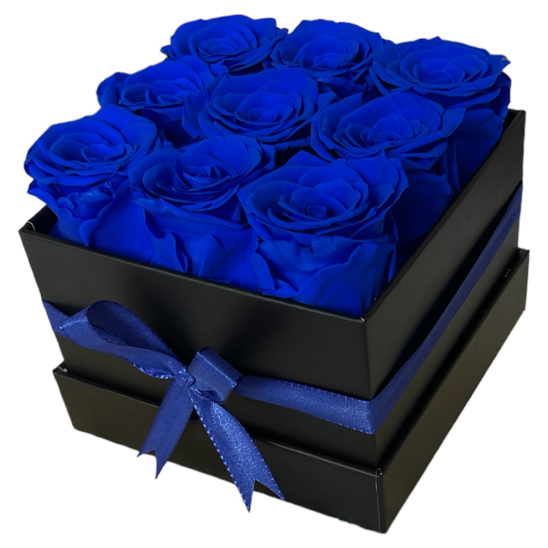 Eckig Box| Schwarz | M | Rosen Königsblau