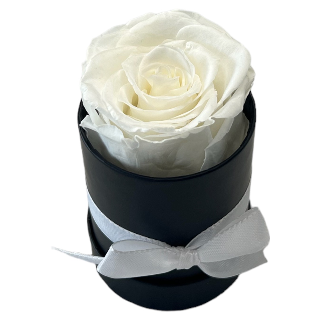 Rund Box | Schwarz | Mini | Rose Weiss - Image 2
