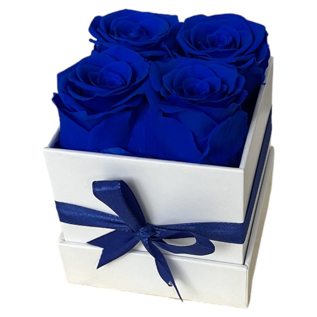 Eckig Box | Weiss | S | Rosen Königsblau